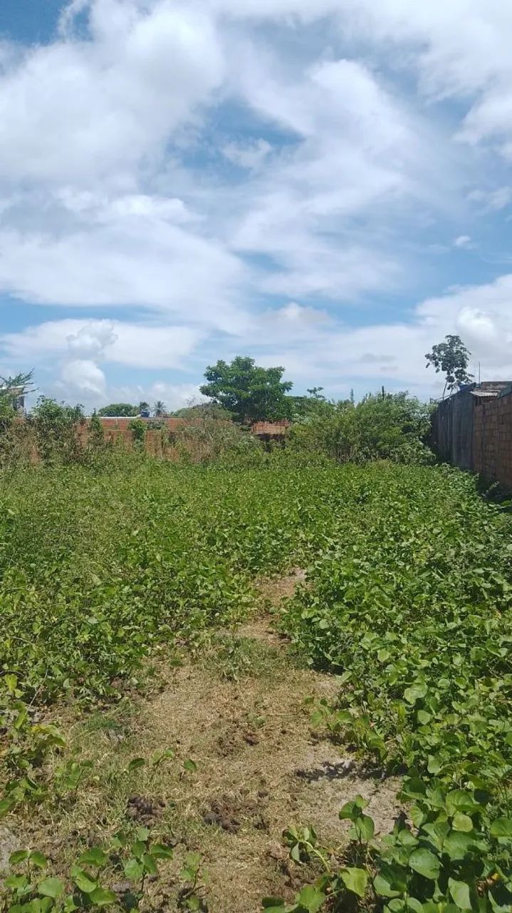 Vendo terreno no santa Maria  - Foto 3
