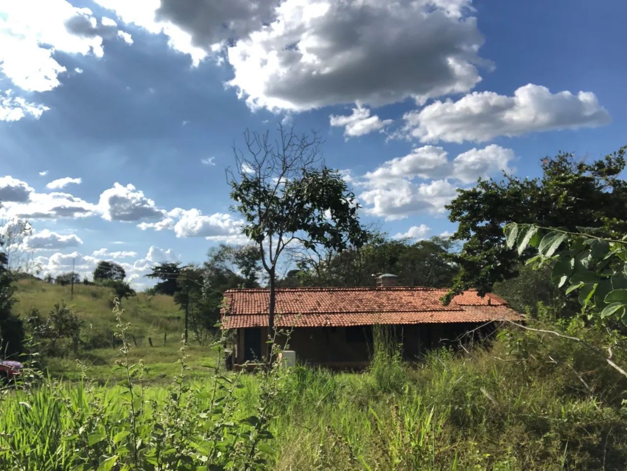 Alugo fazenda GO - Foto 4