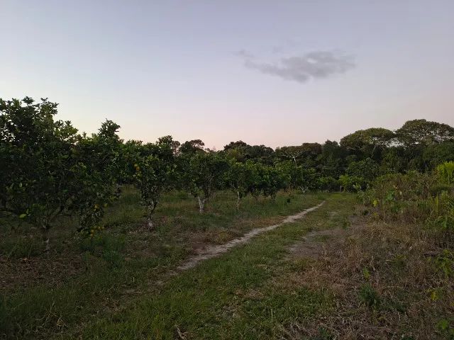 Vende-se Chácara com aproximadamente 6.100 m² - Foto 3