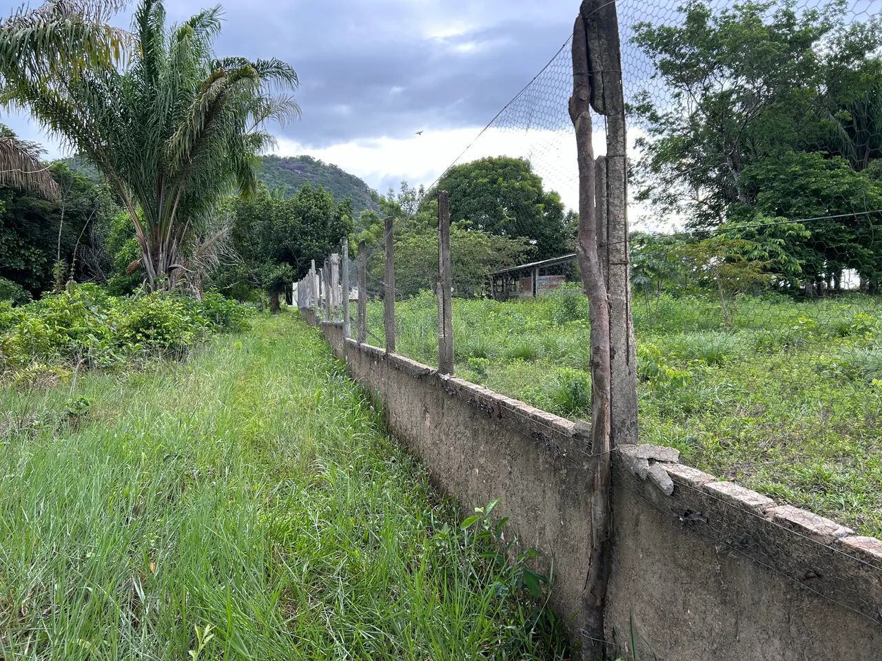 Venda  - Foto 5