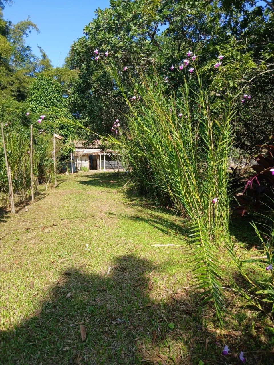 Chácara com 13.800 m², piscina e ampla área verde em Itanhaém - Foto 3