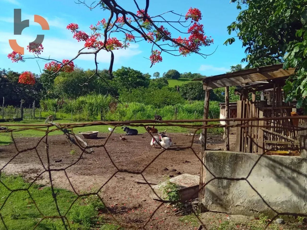 Sítio com 1 dormitório à venda, 36480 m² por R$ 3.000.000,00 - Santa Rosa - Queimados/RJ - Foto 6