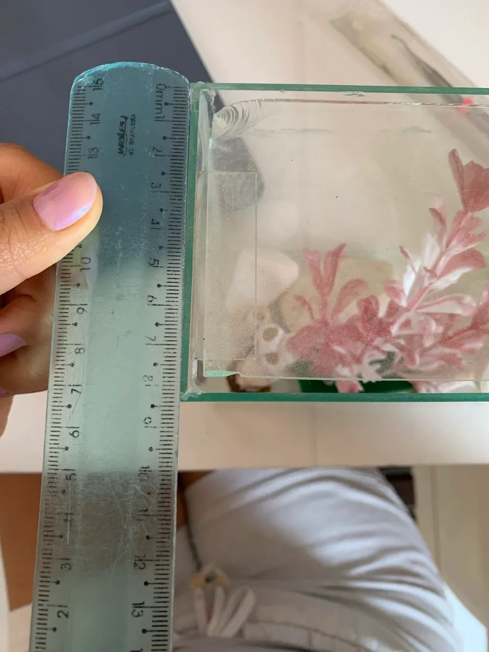 Aquário para peixe Beta  - Foto 4
