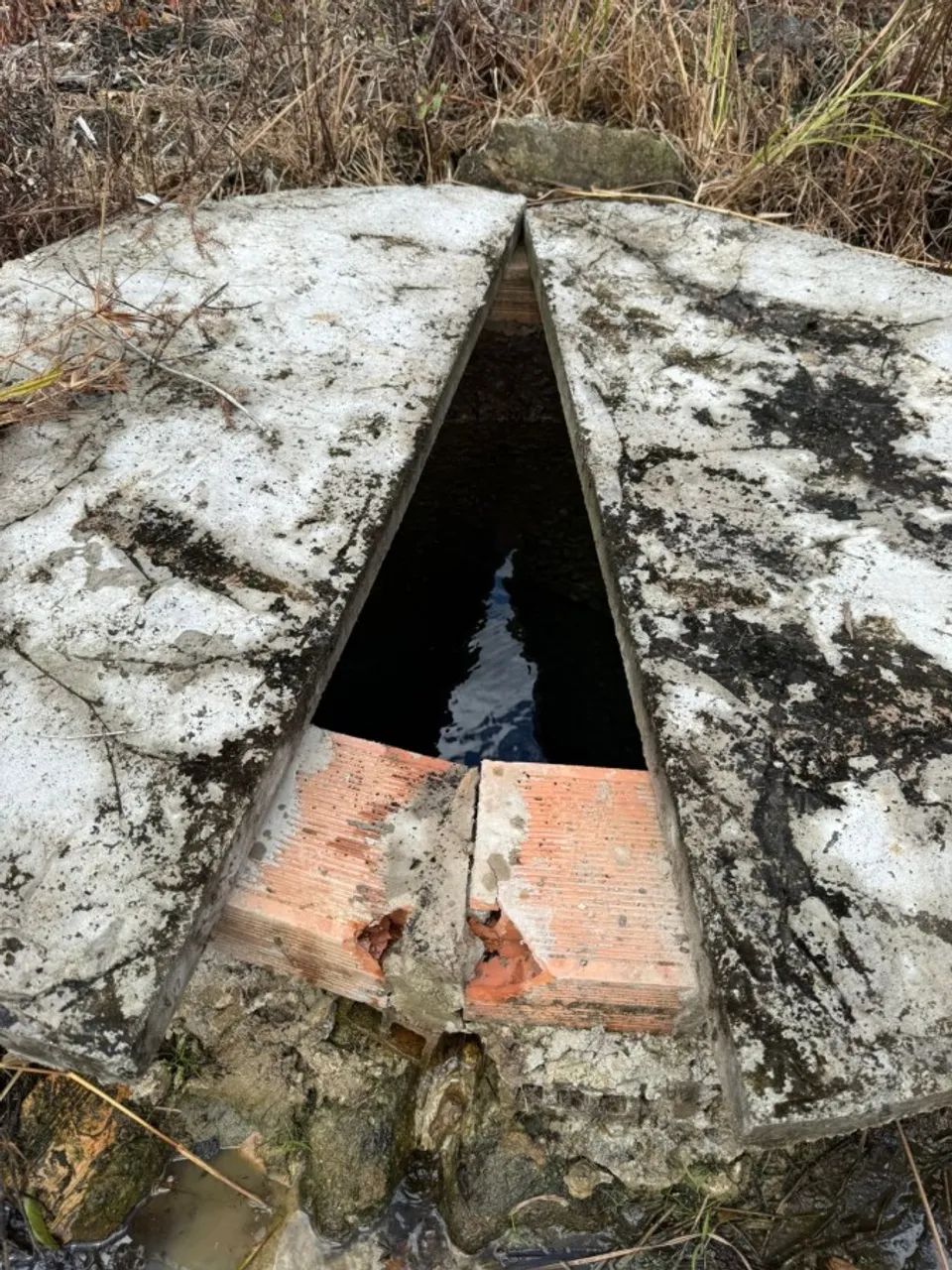 Sítio para Venda em Flexeiras, Zona Rural - Foto 3