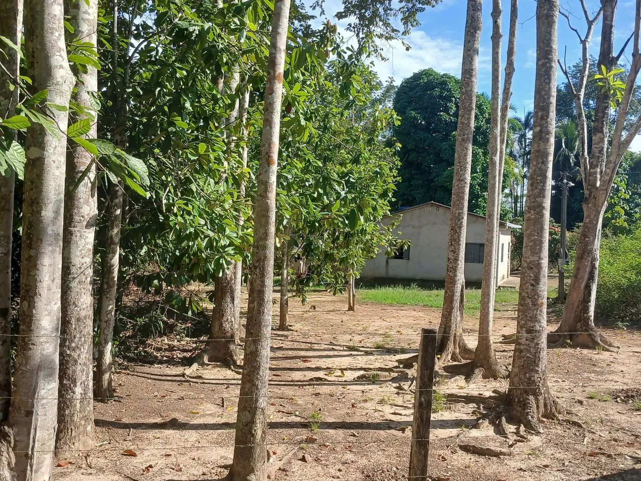 Chácara pronta pra morar  - Foto 3