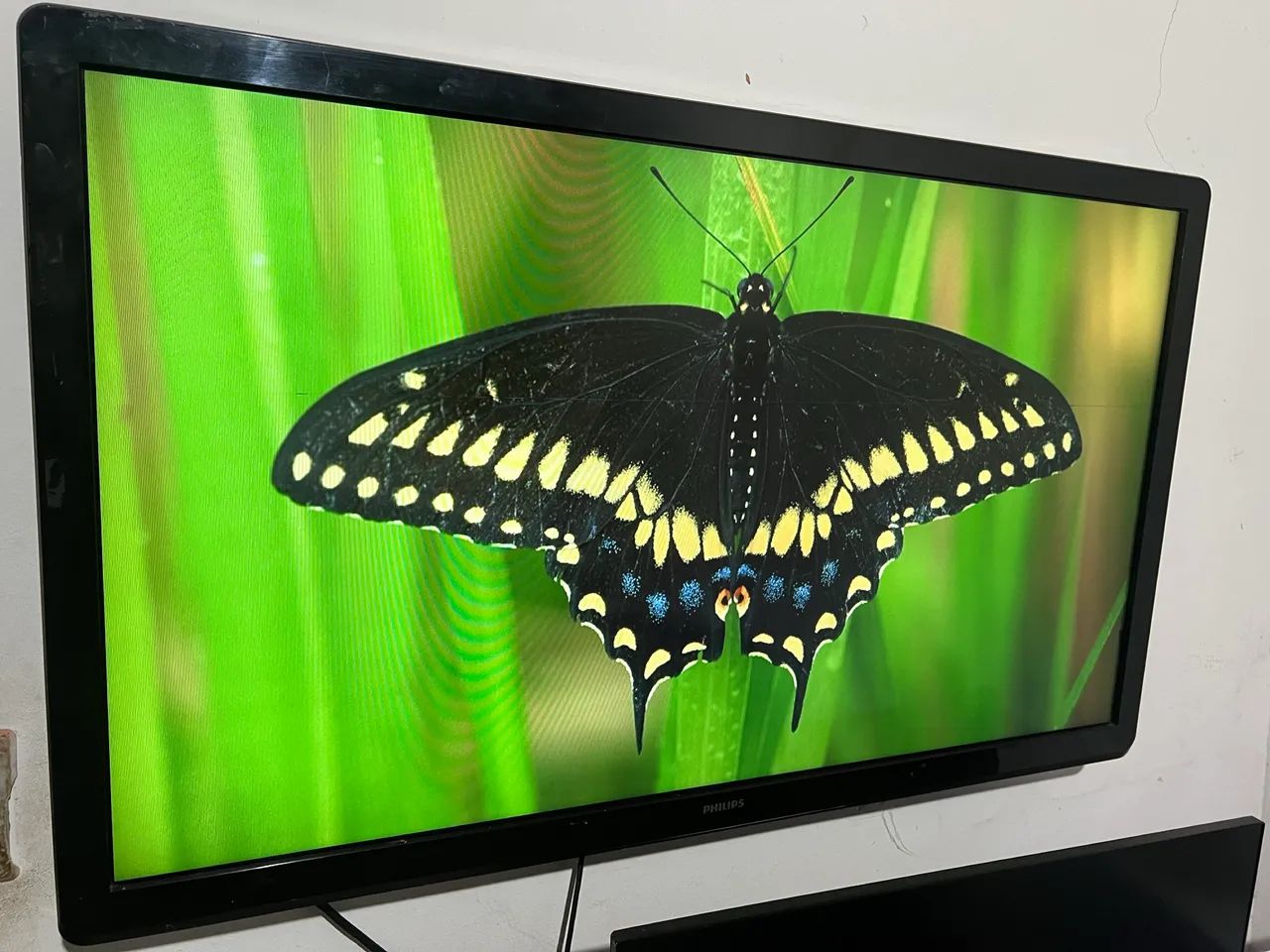 Tv philips 43 polegadas