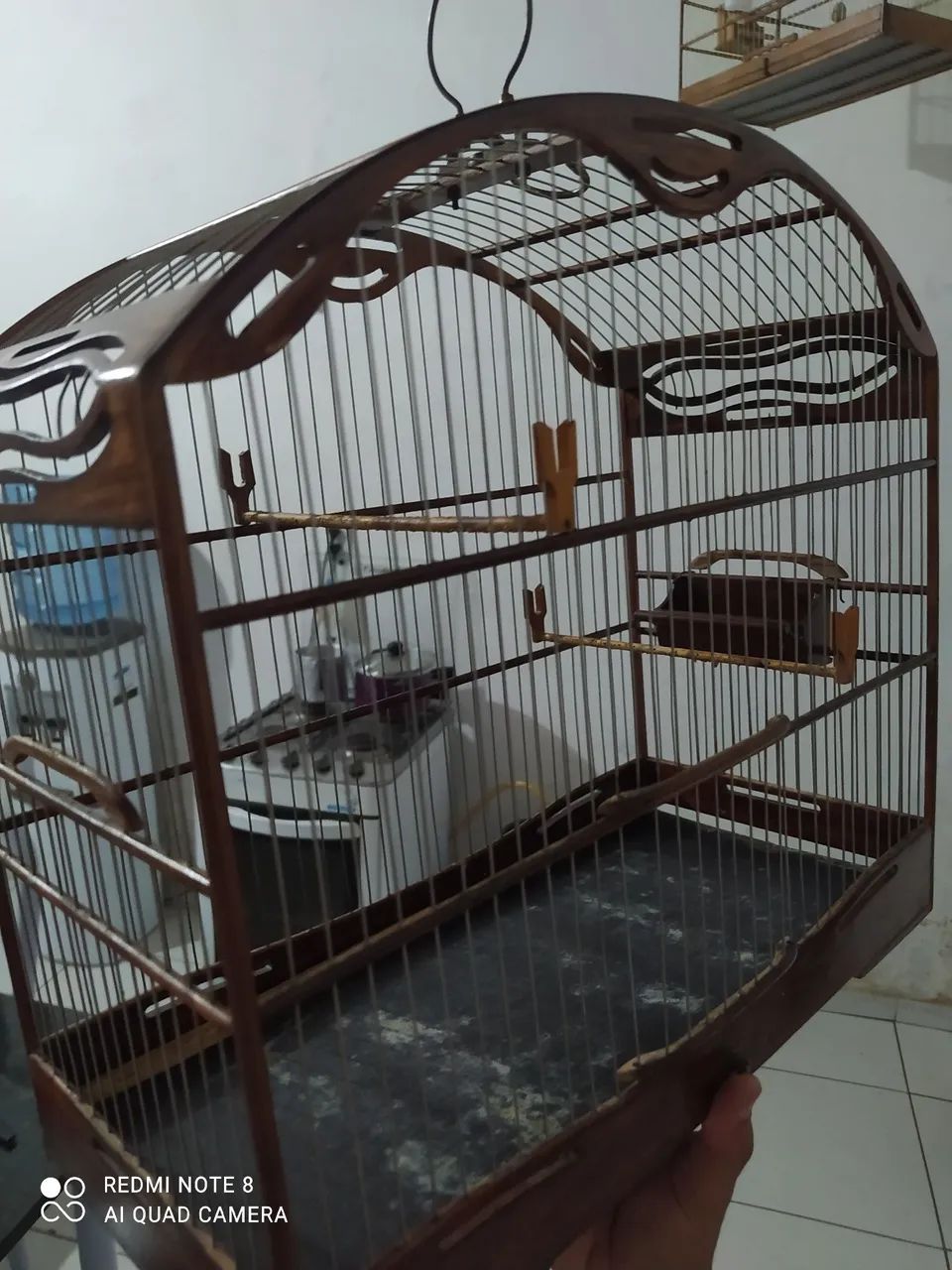 Gaiola bainhania  - Foto 3