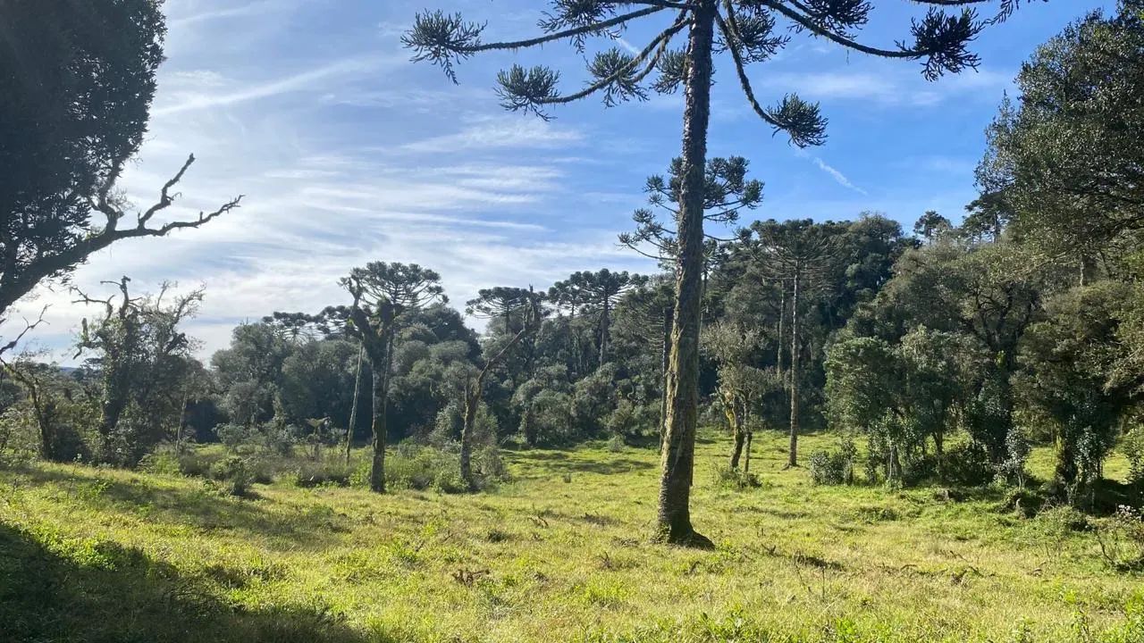 sitio a venda em Urupema