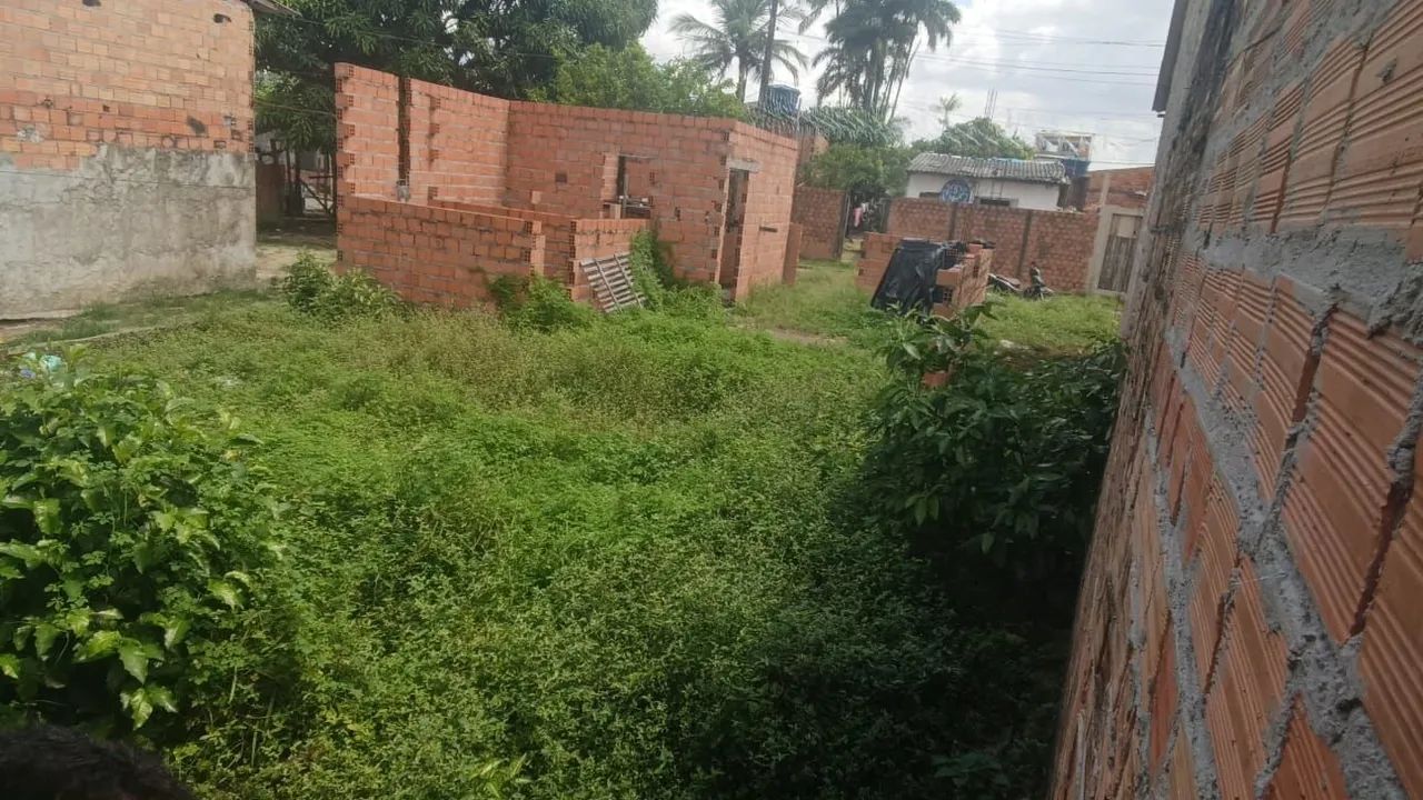 Terreno  - Foto 3