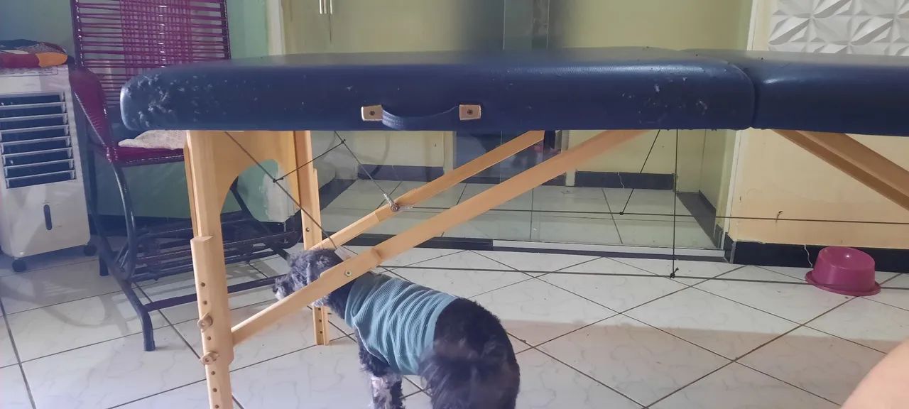 Maca portátil  - Foto 4