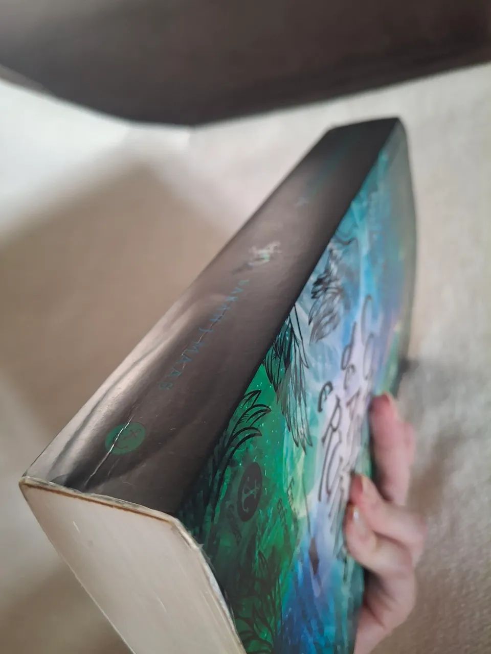 Corte de asas e ruínas livro acotar - Foto 5