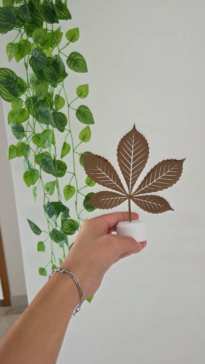 Planta decorativa