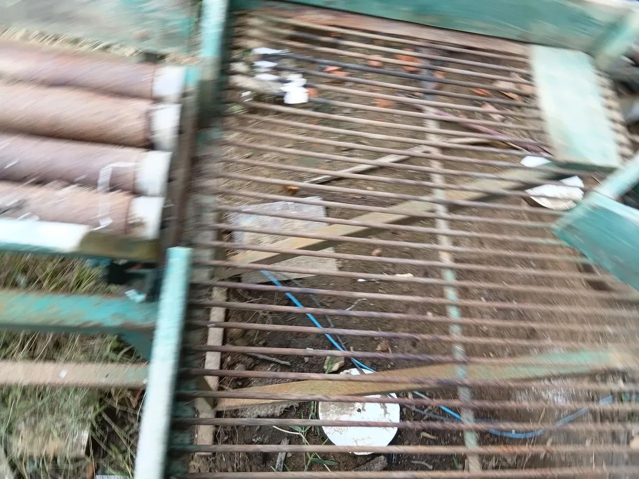 Maquina de cebola