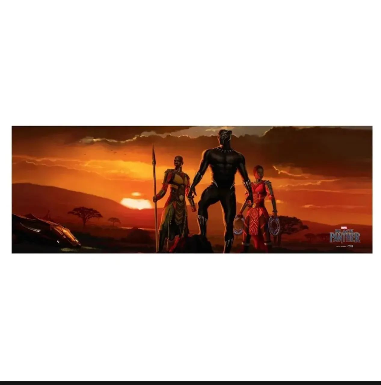 Pantera Negra - Poster Wakanda - Omelete Box 2018