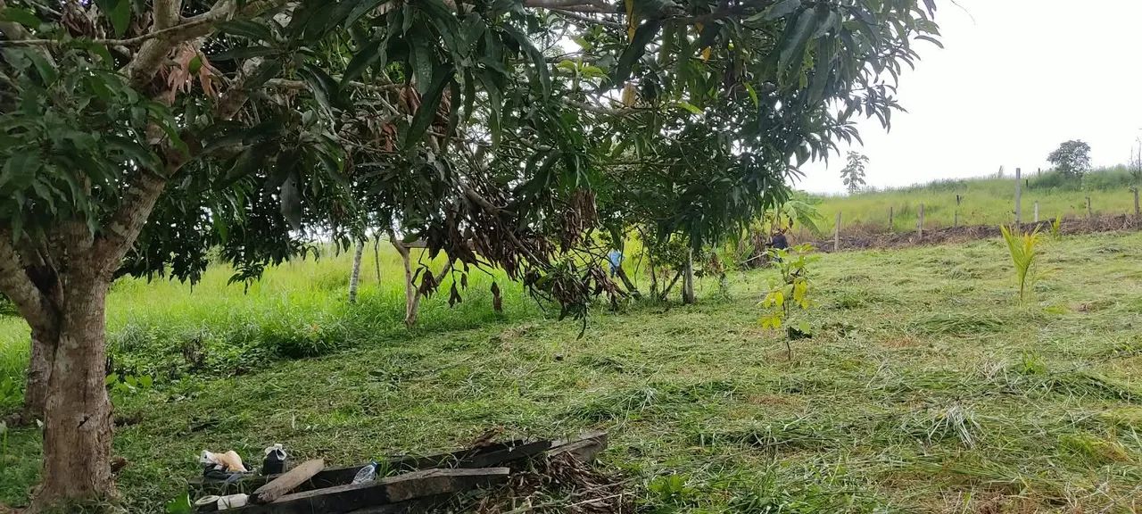 Vende-se  - Foto 2