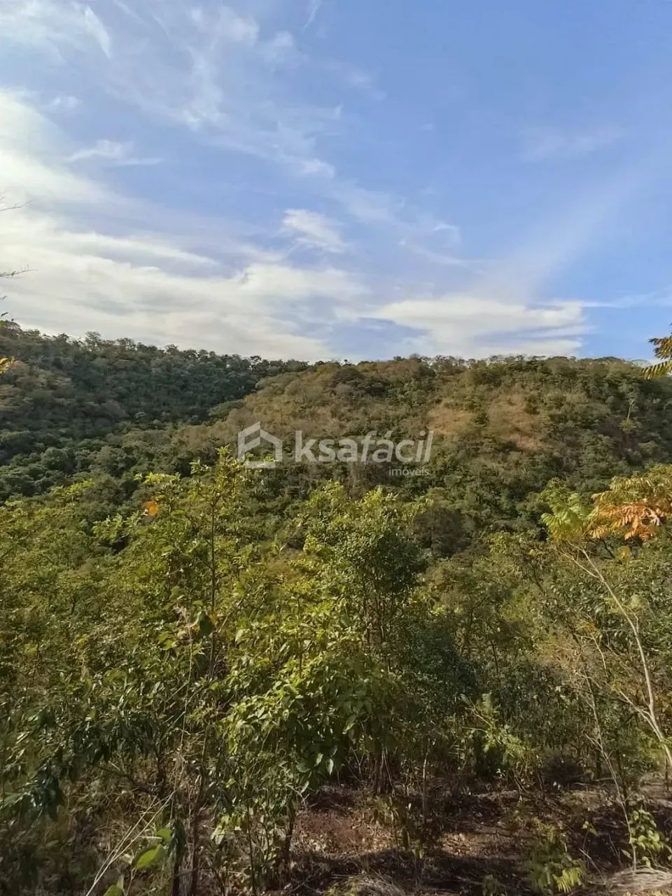 Chácara à venda, Centro, Jaraguari, MS - Foto 4