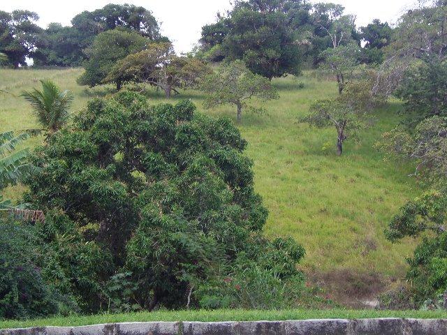Fazenda com Aproximadamente 180 Hectares (Cód.: 838bdf) - Foto 2