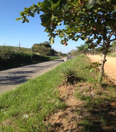 Lote de esquina a 500 m da Lagoa de Araruama - Foto 2