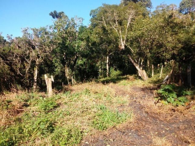 Belissima Chácara em Agudos do Sul/PR 11.500M² - Foto 11