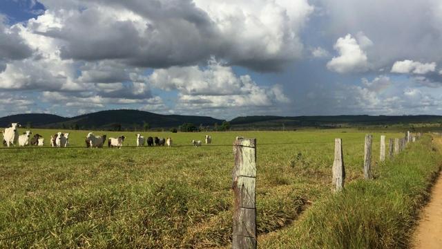 Fazenda em Itagimirim Sul da Bahia - Foto 5