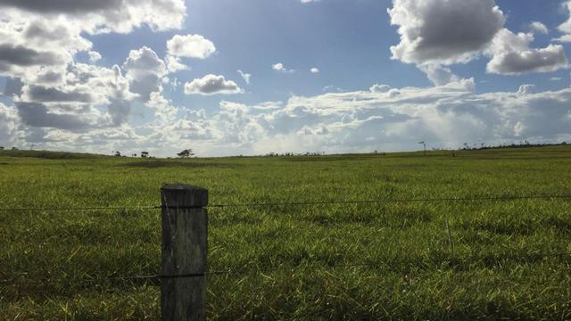 Fazenda em Itagimirim Sul da Bahia - Foto 7