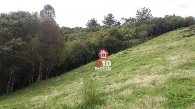 Chácara a venda, próximo ao monumento dos bertussi - r$ 85.000,00 - Foto 9