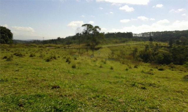 Sítio de 13,85 alq à venda em figueira-pr, si0001. - Foto 3