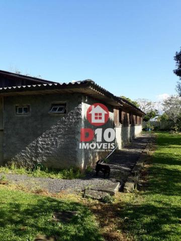 Chácara com 4 dormitórios à venda, 36000 m² por R$ 500.000 - Vila Santa Catarina - São Joã - Foto 10
