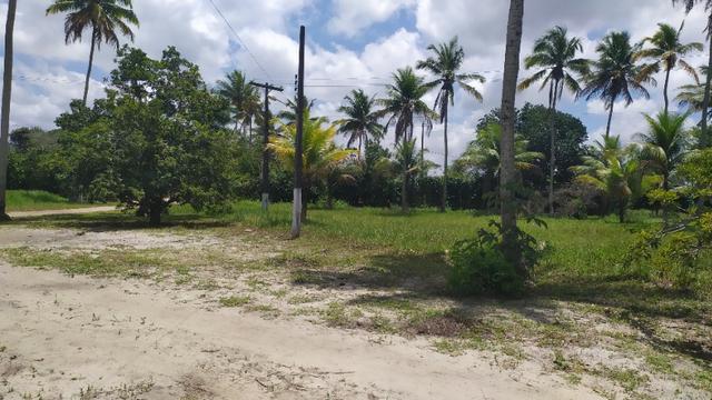 Vende-se excelente sitio em Igarassu, bem localizado - Foto 14
