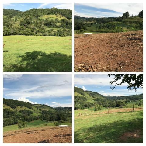 Área Rural - Foto 4