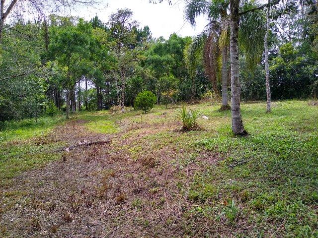 Chacara - Foto 5