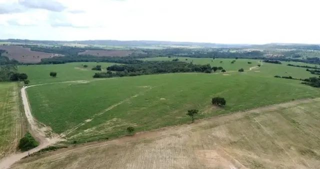 Fazenda de 110 alqueires em Pires do Rio-GO