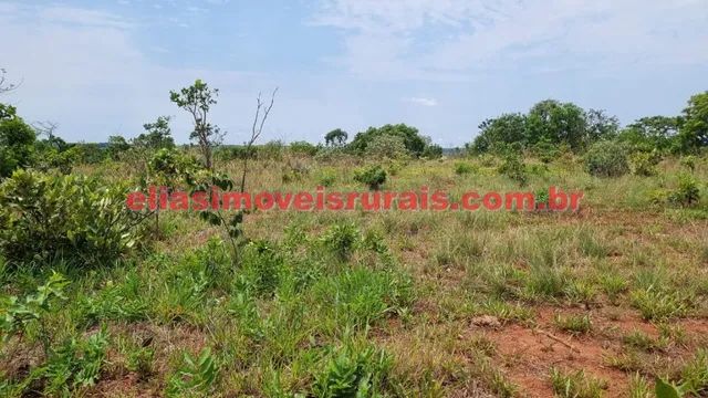 Sítio 5,9 alqueires - Próximo Trevão - Foto 5