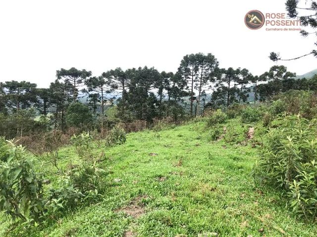 Terreno rural com 73 hectares - Foto 4