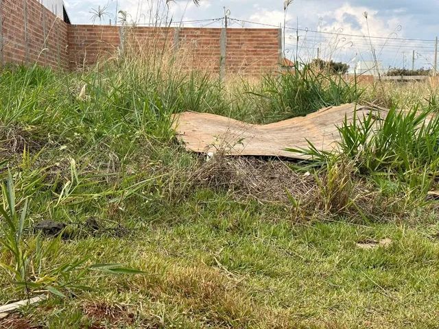 Venda de Terreno / Padrão na cidade de Araraquara - Foto 3