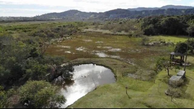 SITIO COM 16 MIL M2 E DUAS CASAS NA VARGEM PEQUENA - Foto 5