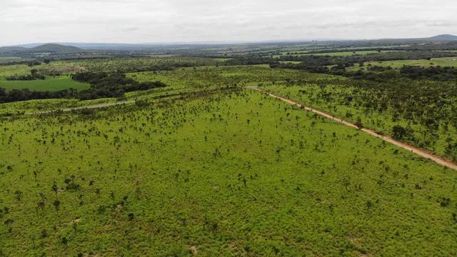 Fazenda 770 alqueires em Vila Propricio-Go - Foto 3