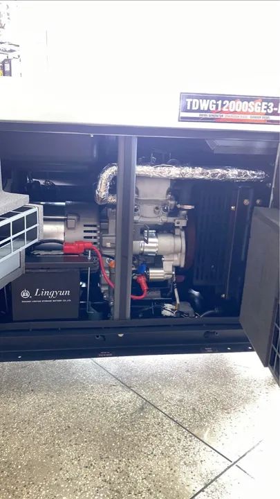 Gerador Diesel TdWG12000SGE3-N 12kva - Foto 6