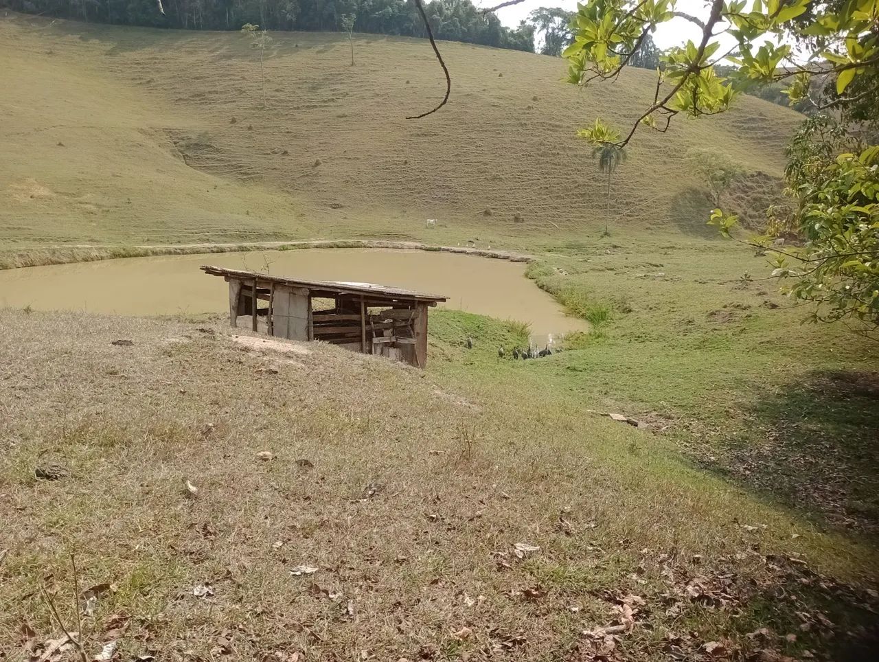 Luxo de sitio com 80 hectares. - Foto 5