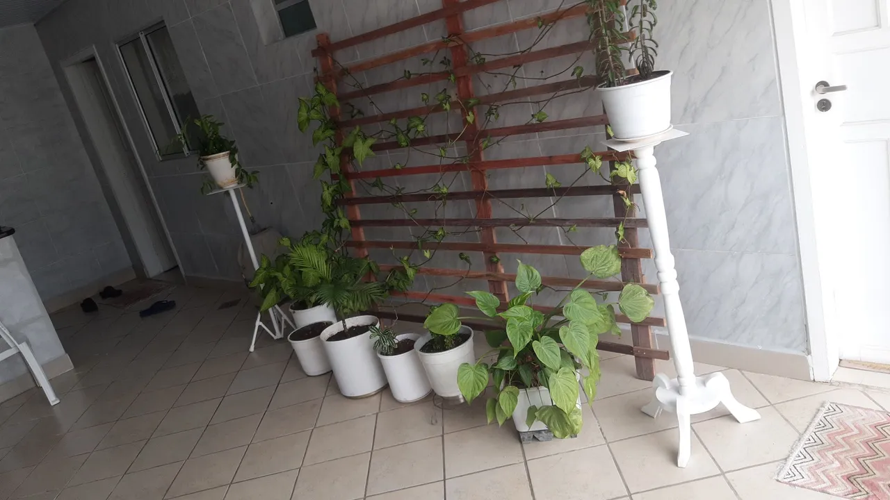 Jardim Vertical com Plantas e Vasos