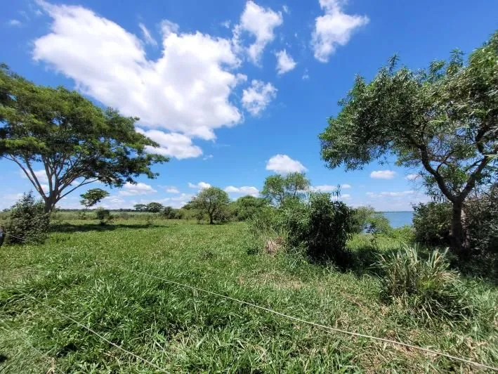 Sitio beira do rio tiete