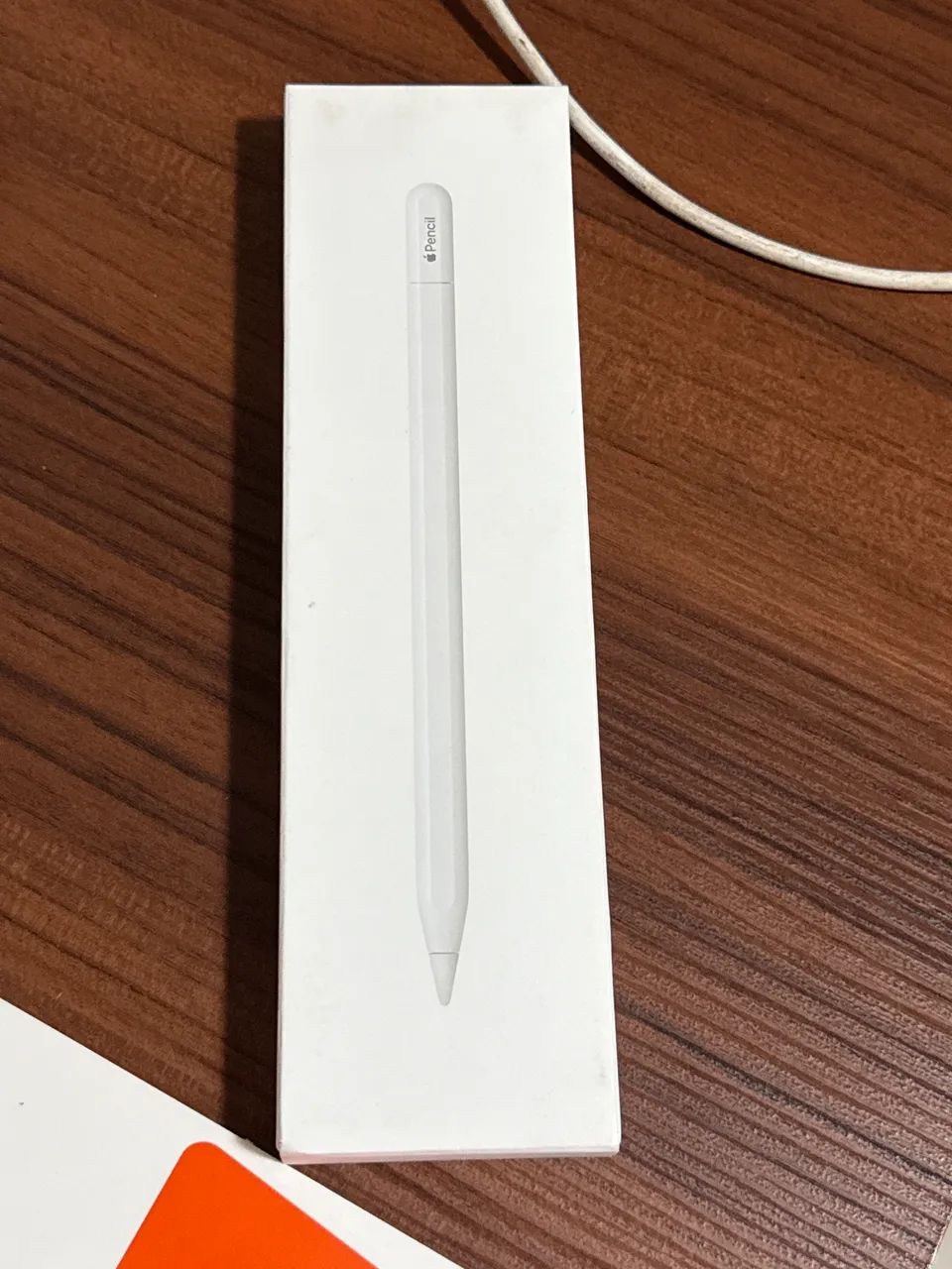 Apple Pencil (USB-C) - Tablets e E-Readers - Setor Bueno, Goiânia