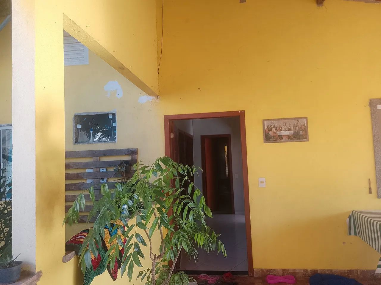 Foto - Serra - Palmeiras