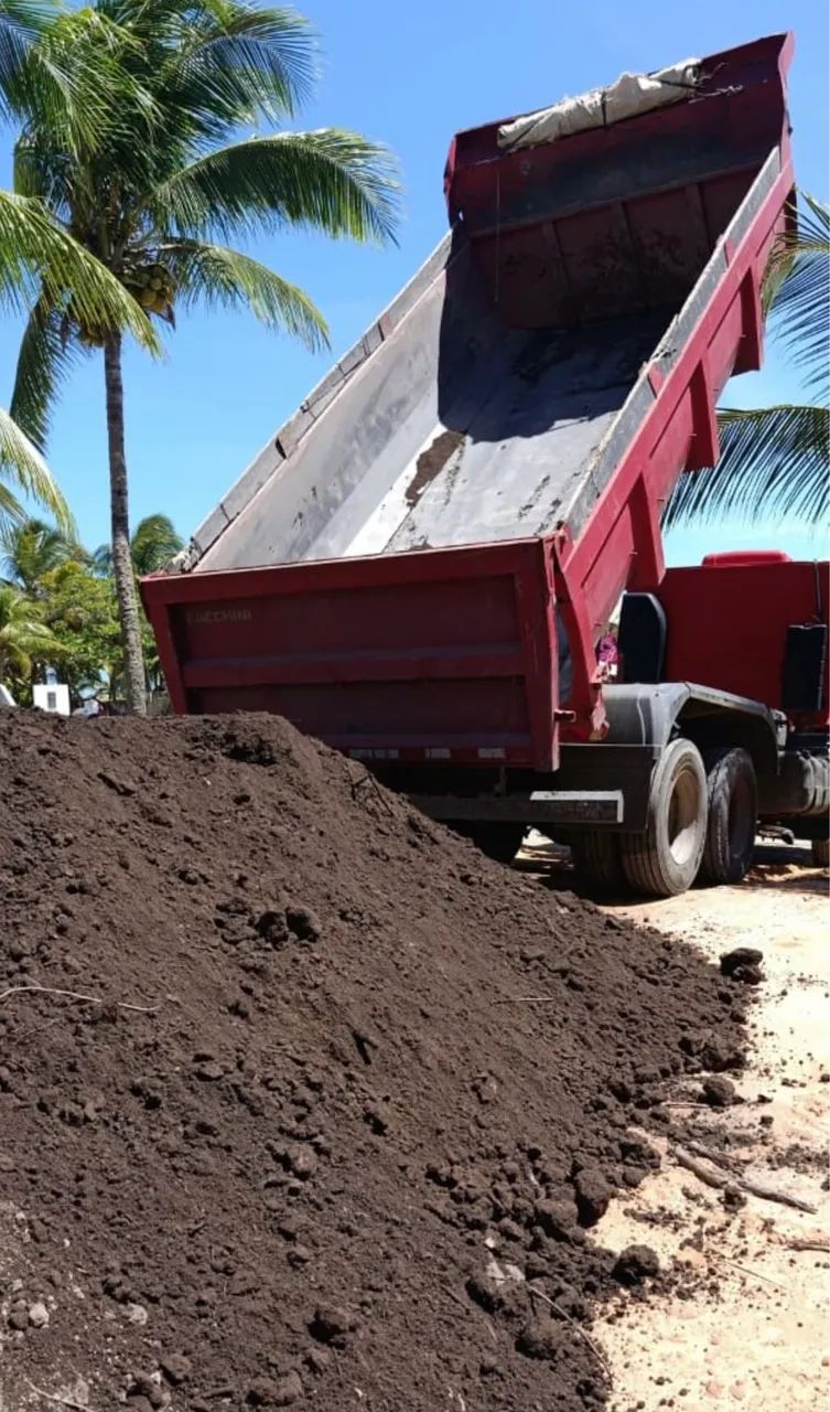 Caçamba de Terra Vegetal R$ 99 o m3º 