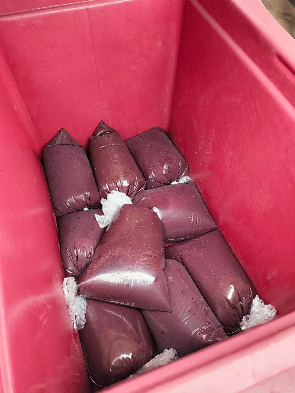 Açaí Natural