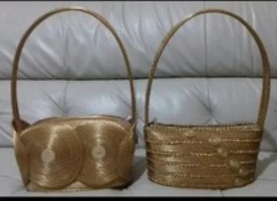 Bolsa em Capim Dourado - Foto 4