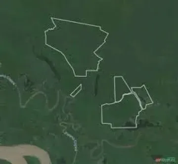 WF / ÁREA NA AMAZONIA PARA PROJETOS DE CARBONO AÉREA DOCUMENTADA E LIBERADA ..