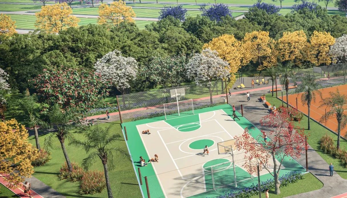 Terrá oportunidade exclusiva de terreno em São José - Foto 4