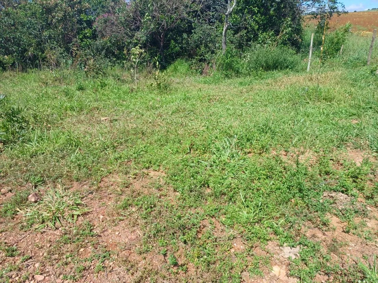 Chácara em gameleira de goias 10.000 metros - Foto 11