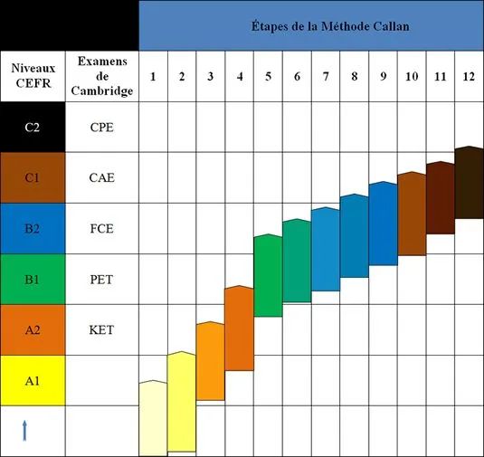 Aulas de inglês particular I Conversação  I Método Callan - Foto 2